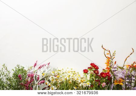 Top View Of Wildflowers And Herbs On White Background With Copy Space