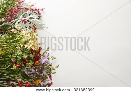 Top View Of Wildflowers And Herbs On White Background