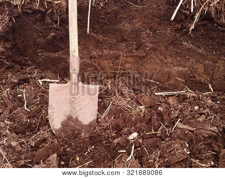 Brown Background Of A Straw Dunghill From Livestock With The Shovel On The Foreground