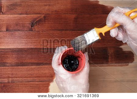 The Brush Is Dipped Into A Container With Varnish Or Paint. Close Up Hand Use Brush Paint Clear Lacq