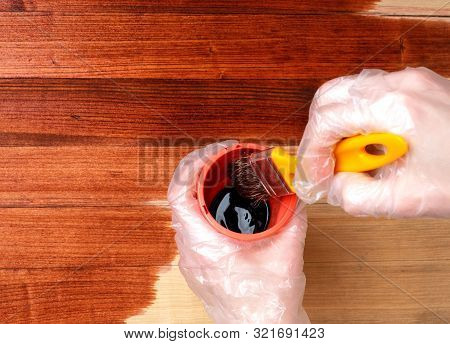 The Brush Is Dipped Into A Container With Varnish Or Paint. Close Up Hand Use Brush Paint Clear Lacq