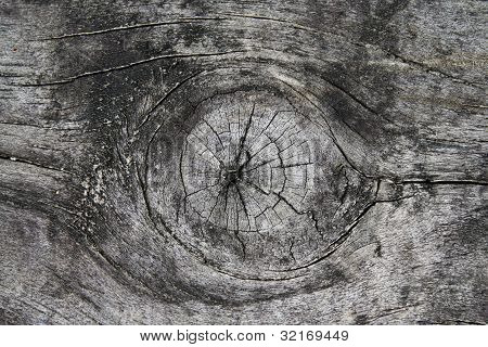 Texture legno
