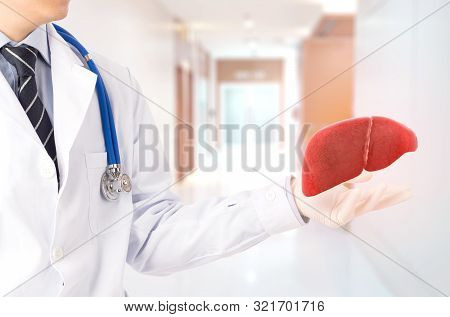 Doctor Cure 3d Liver , Concept Fatty Liver