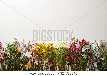 Top View Of Wildflowers On White Background With Copy Space