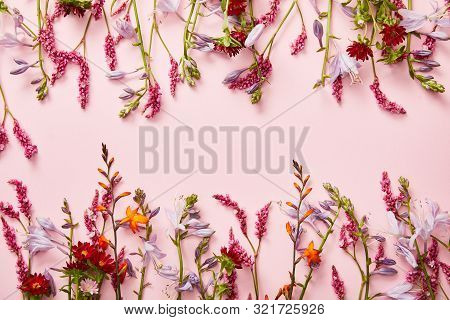 Twigs Of Wildflowers On Pink Background With Copy Space