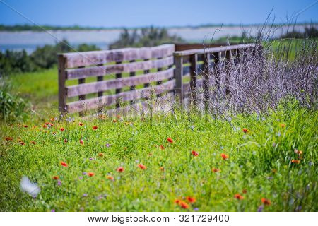 A Very Long Boardwalk Surrounded By Shrubs In Aransas Nwr, Texas