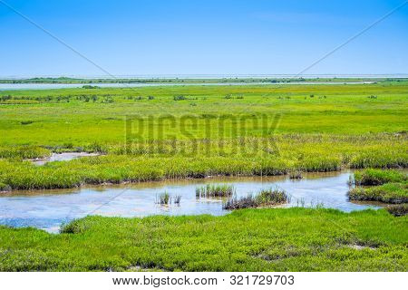 The Huge Wetlands Of Aransas Nwr, Texas