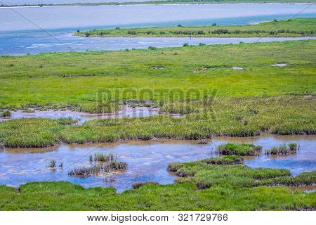 The Huge Wetlands Of Aransas Nwr, Texas