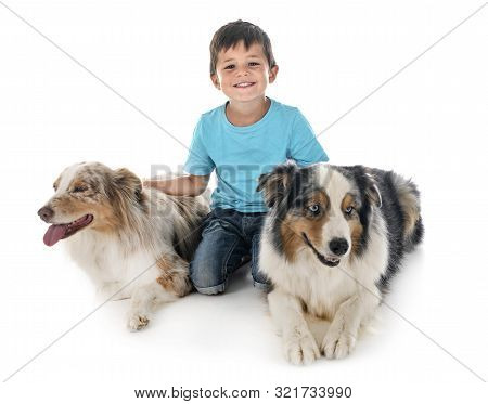 Child And Dogs In Font Of White Background