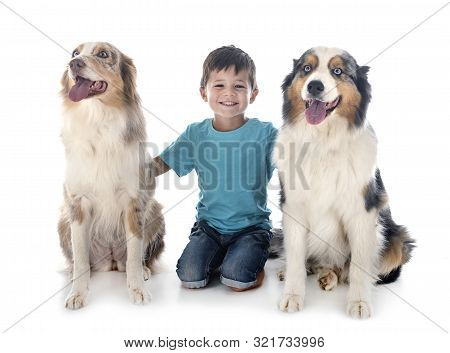 Child And Dogs In Font Of White Background