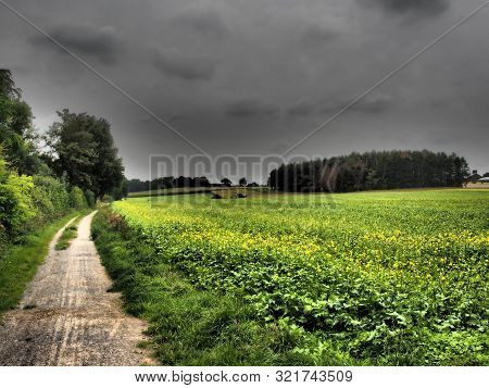 the City of Billerbeck in the german baumberge