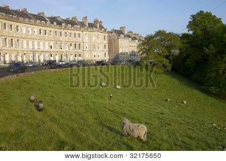 City Farm