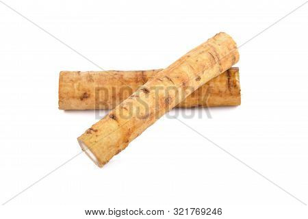 Fresh Burdock Root Or Gobo On White Background