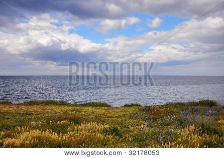 Costa del mar Mediterráneo con flores y nubes