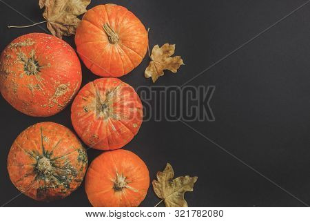 Autumn Pumpkin Thanksgiving Background - Orange Pumpkins Over Black Background. Top View. Flat Lay. 