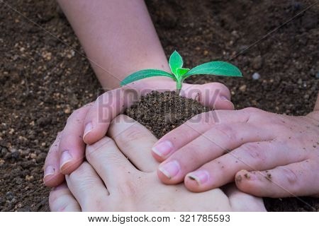 Close Up Hands Planting Tree Together Into The Soil. Earth Day. World Environment Day. Ozone Day.