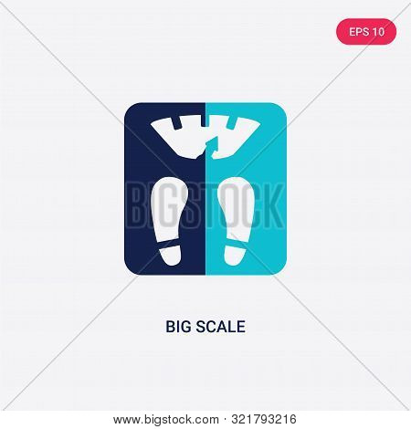 two colored big scale vector icon from beauty.
