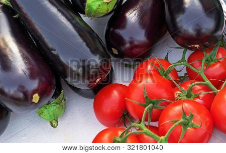 Fresh Eggplant And Red Tomatoes On A Branch. Seasonal Vegetables.