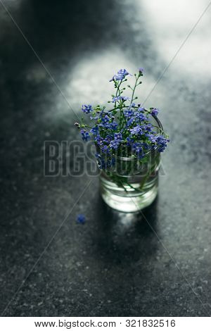 Spring Blue Forget-me-nots Flowers, Spring Concept, Selective Focus. A Beautiful Bouquet Of Blue Flo