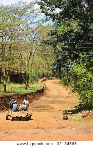 ARUSHA, TANZANIE