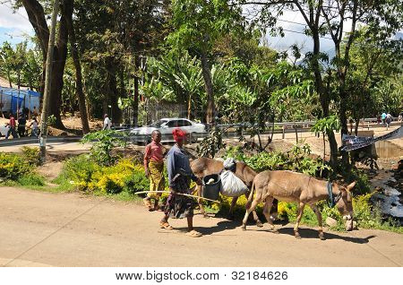 ARUSHA, TANZANIE