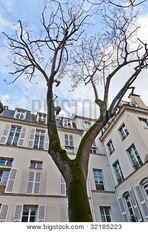 Paris - Place De Fustemberg