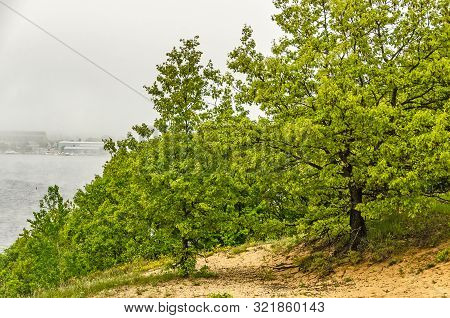 Foggy Afternoon On Lake Manistee In Michigan Makes The Green Leaves In The Foreground Pop