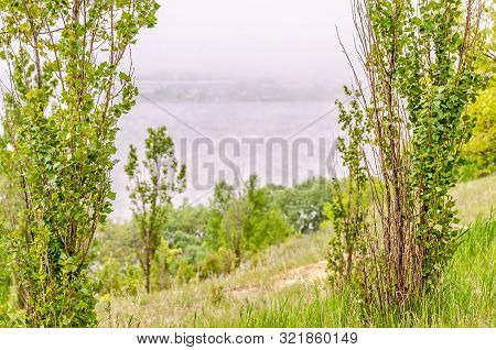As The Fog Rolls In, Everything Begins To Disappear