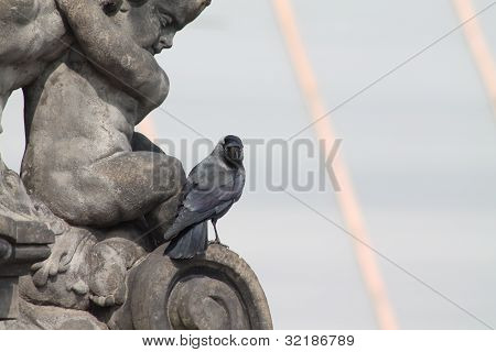 Chlapec a pták