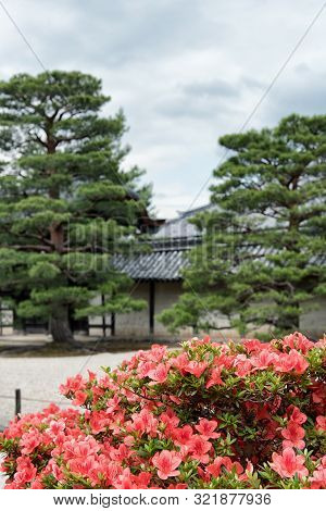 Zen Garden Of The Tenryu-ji Temple, Kyoto, Japan