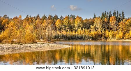 Autumn Colored Deciduous Trees Around Lake In November In The Netherlands