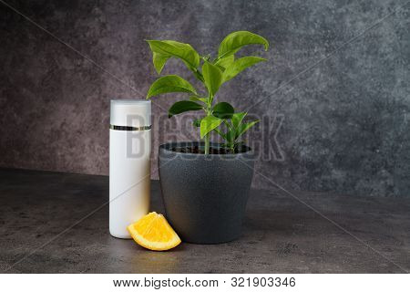 Orange Tree, Orange Slice And White Cosmetic Bottle On Grey Table