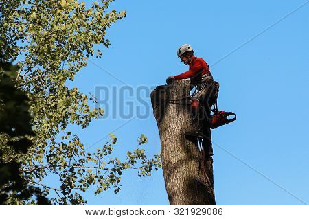 St. Petersburg, Russia - September 12, 2019: A Professional Climber With A Chainsaw, Safety Belts, A