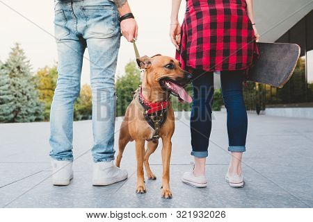 Young People In Urban Scene Walk The Dog. Young Man With A Dog On The Leash And Young Female With A 
