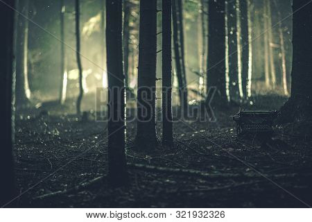 Lost Aged Typewriter In A Forest. Dark Spooky Woodland Scenery. Bluish Color Grading. Conceptual Gho