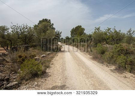 The August Road As It Passes Through The Senia