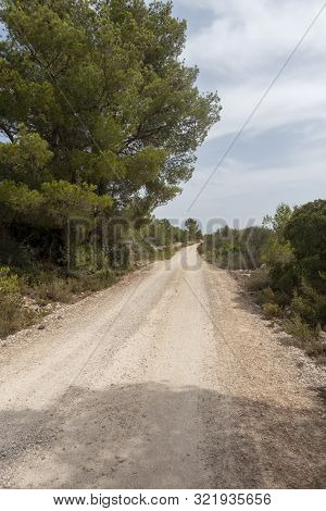 The August Road As It Passes Through The Senia