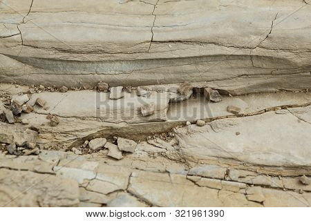 Small Pebbles On A Background Of Rough Rock