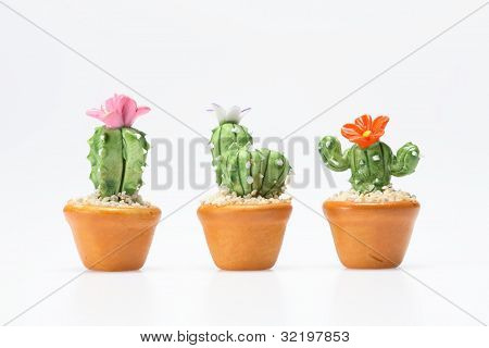 Cactus legetøj