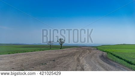 Pastoral Landscape In Green Kahetia Fields