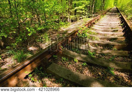 Close-up View Of Old And Rusty Rail In Spring Forest. Old Railway In The Forest. Famous Tunnel Of Lo