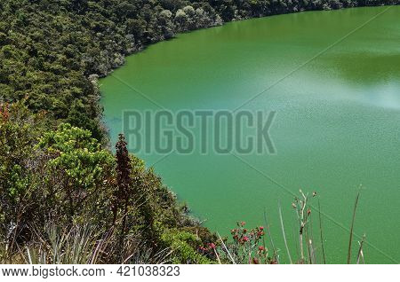 View Of The Guatavita Lake In The National Park Of The Same Name. Cordillera Oriental Of The Colombi
