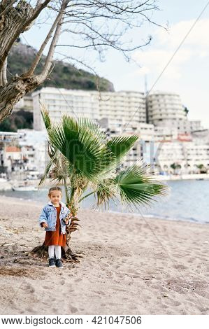 Little Girl In A Dress And A Denim Jacket With A Toy In Her Arm Stands On The Background Of A Palm T