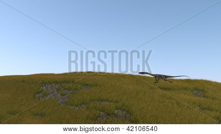 Coelophysis im Grünland