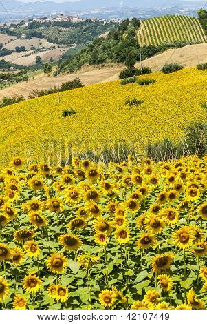 Marcher (Italien), landskab