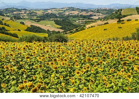 Marcher (Italien), landskab
