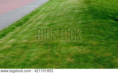 The First Mowing Of The Grass Should Not Be Too Low So That The Lawn Has More Regeneration Power. Af