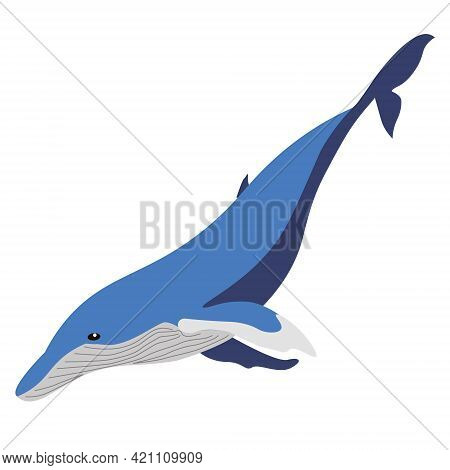 Sigle Abstract Blue Whale Simple Flat Vector Clip Art Eps10