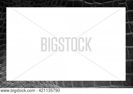 Alligator Skin. Crocodile Skin. Real Alligator Skin. Fake Alligator Skin. Crocodile Picture Frame. Black and White. Room for photo or text. 