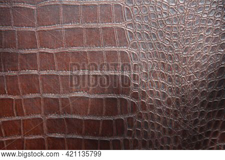 Alligator Skin. Crocodile Skin. Real Alligator Skin. Fake Alligator Skin. 